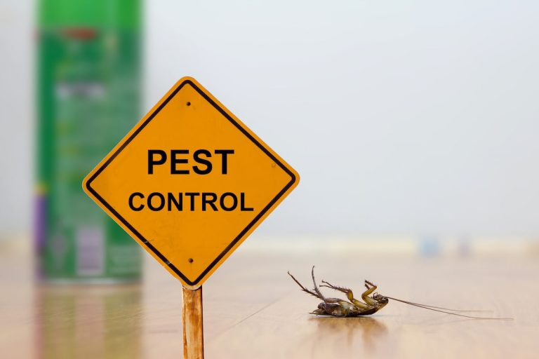 blog-4-Pest Control – 3 Things you Might be Trying that WON’T Work