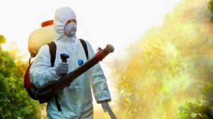 pest control expert spraying chemicals