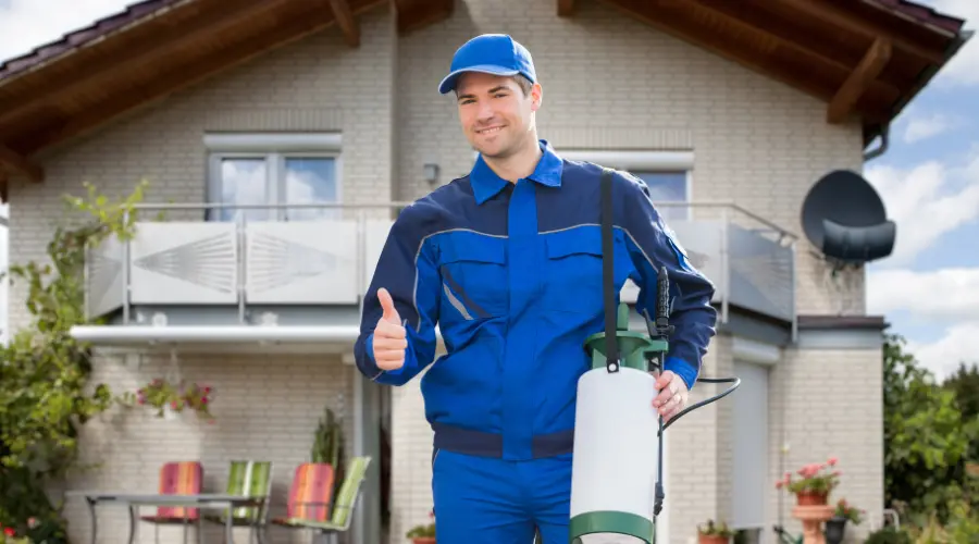 Effective Pest Control | Pest Control Escondido, CA